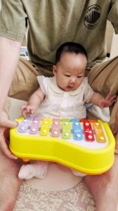 毛仔弹钢琴