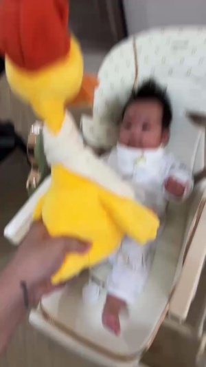 鸭子戏毛笑哈哈