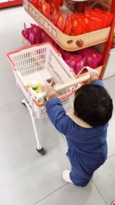 毛毛推车