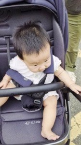 毛仔喊妈妈