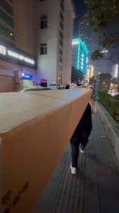 恐龙扛狼扛狼抗