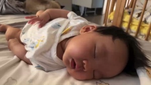 睡着的毛仔