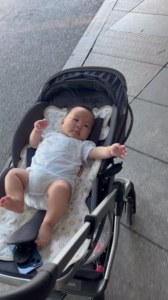 带毛崽去烈士公园