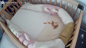 哄毛崽睡觉