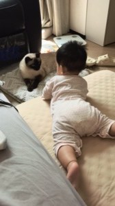 毛毛和哥哥