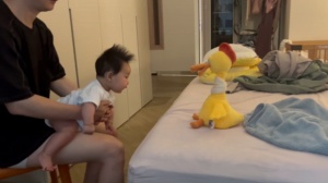 毛仔看鸭子