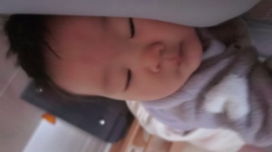 睡醒的毛仔